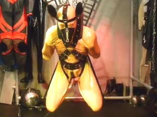 Rubber pup gets suspended with electro