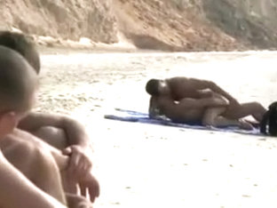 Making New Friends At The Beach