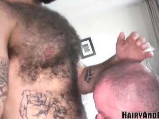 HAIRYANDRAW Tattooed Atlas Grant Bareback Pounded After BJ