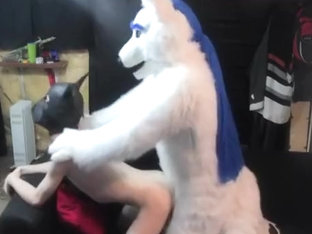 noble mounts his pup