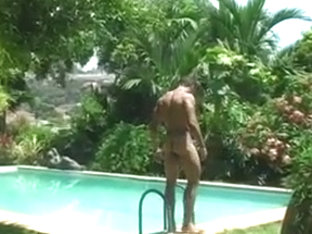 lion pool scene 5