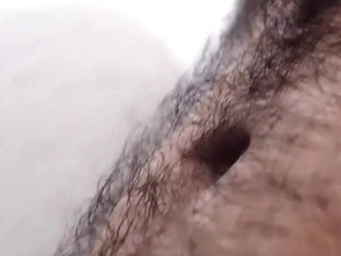 PigWave