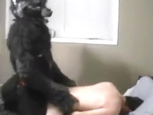 Literal Wolf Action