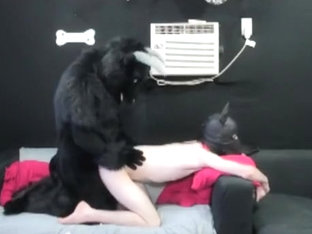 Minotaur and puppy guy